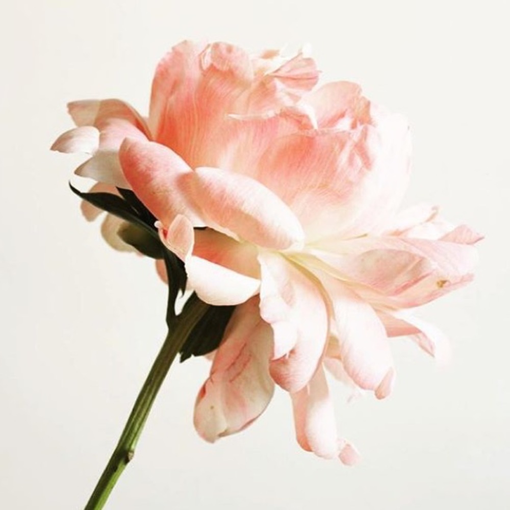 Meet your Posher, P.